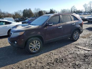  Salvage Kia Sorento