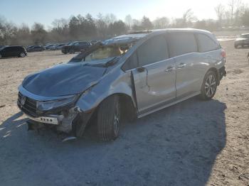  Salvage Honda Odyssey