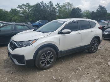  Salvage Honda Crv