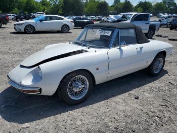  Salvage Alfa Romeo Romeo Duet