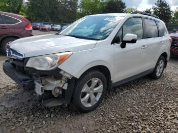  Salvage Subaru Forester