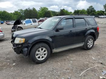  Salvage Mazda Tribute