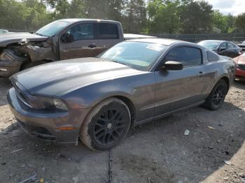  Salvage Ford Mustang