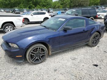  Salvage Ford Mustang