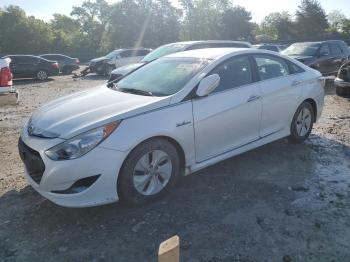  Salvage Hyundai SONATA