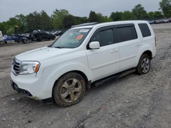  Salvage Honda Pilot
