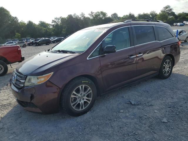  Salvage Honda Odyssey
