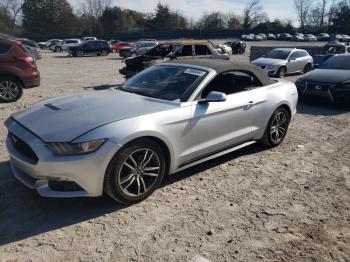  Salvage Ford Mustang