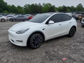  Salvage Tesla Model Y