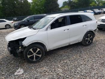  Salvage Kia Sorento