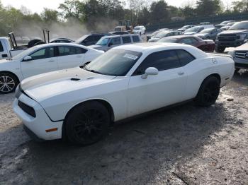  Salvage Dodge Challenger