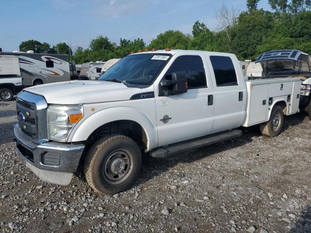  Salvage Ford F-250