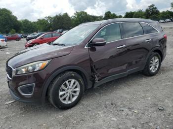  Salvage Kia Sorento
