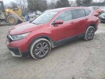  Salvage Honda Crv