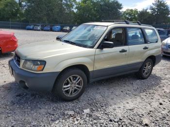  Salvage Subaru Forester
