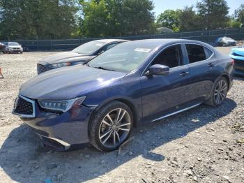  Salvage Acura TLX