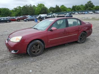  Salvage Chevrolet Malibu