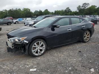  Salvage Nissan Maxima