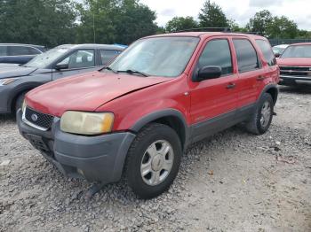  Salvage Ford Escape