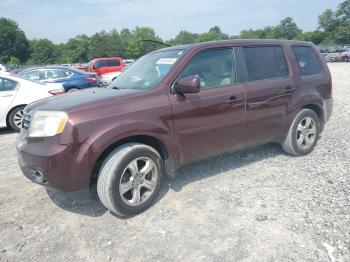  Salvage Honda Pilot