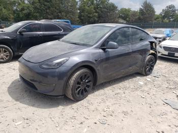  Salvage Tesla Model Y