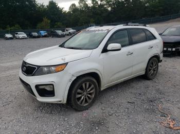  Salvage Kia Sorento