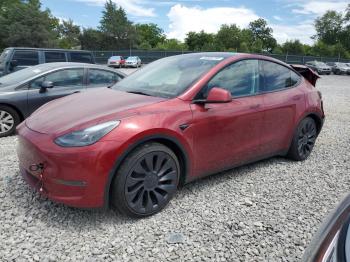  Salvage Tesla Model Y