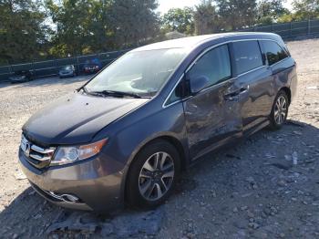  Salvage Honda Odyssey