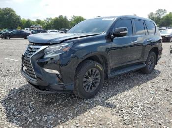  Salvage Lexus Gx