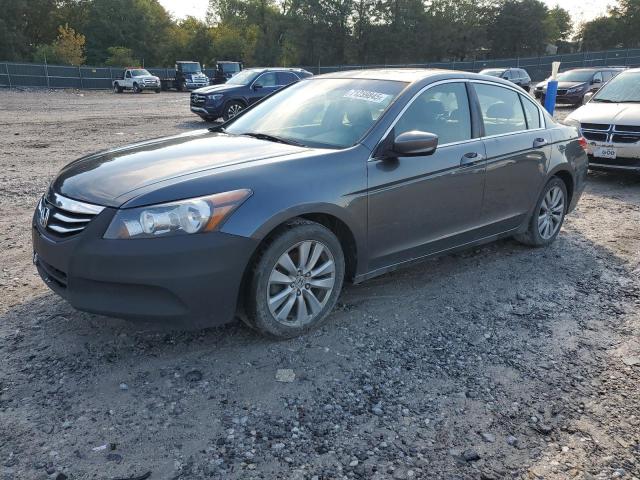  Salvage Hond Accord