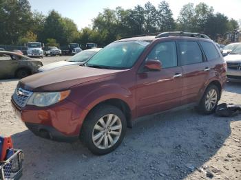  Salvage Subaru Forester