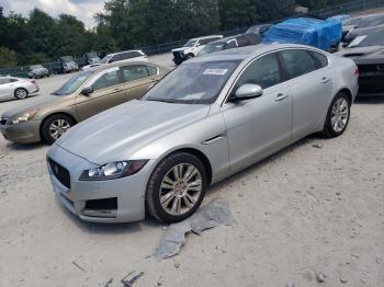  Salvage Jaguar XF