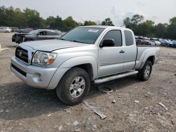  Salvage Toyota Tacoma