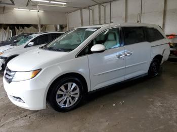  Salvage Honda Odyssey
