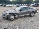 Ford Mustang Image 1