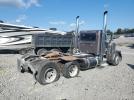 Peterbilt 379 Image 3