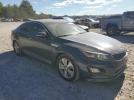 Kia Optima Hybrid Image 4