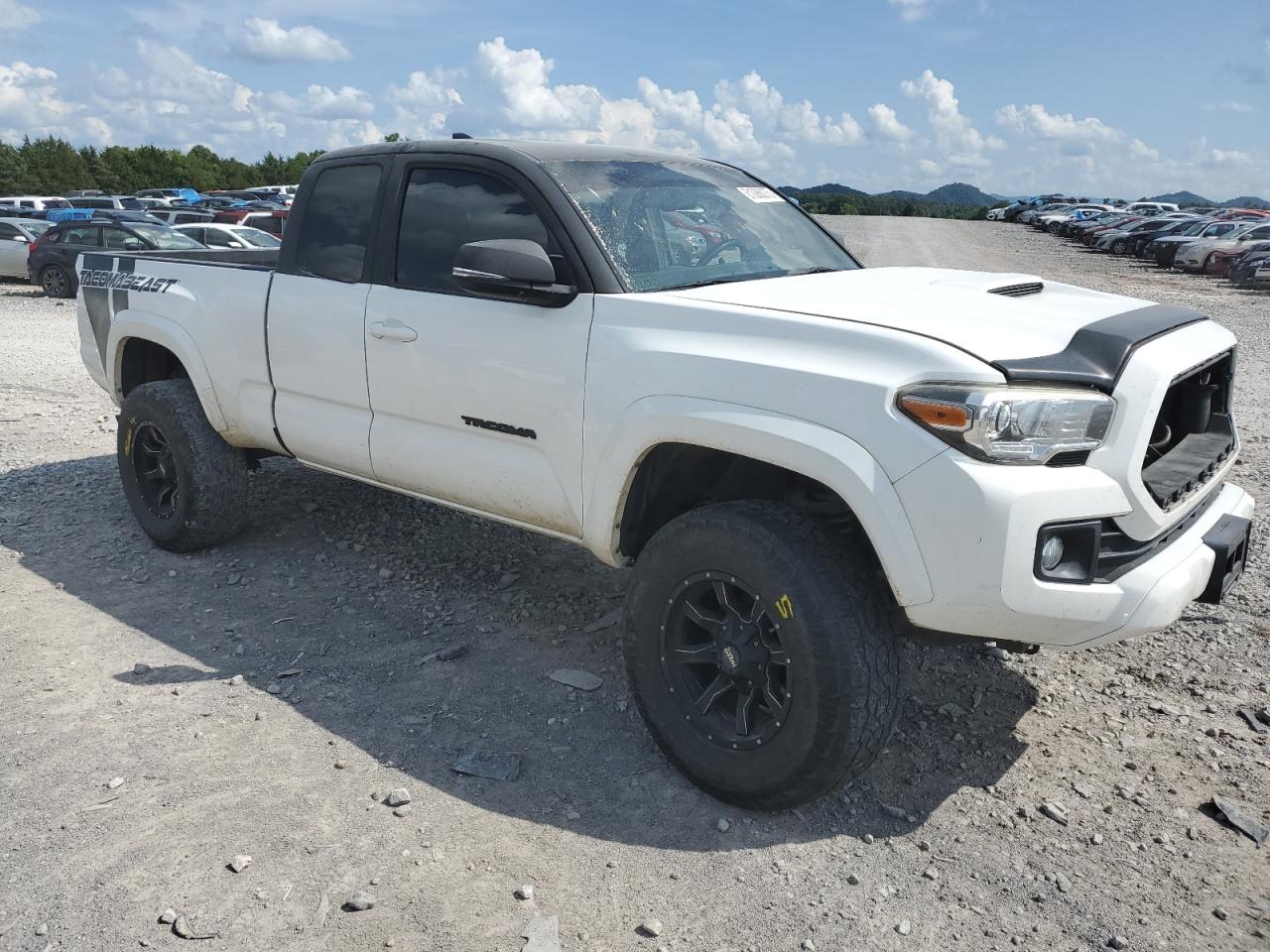 Toyota Tacoma Access Cab Image 4