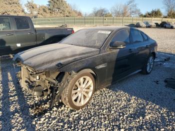  Salvage Jaguar XF