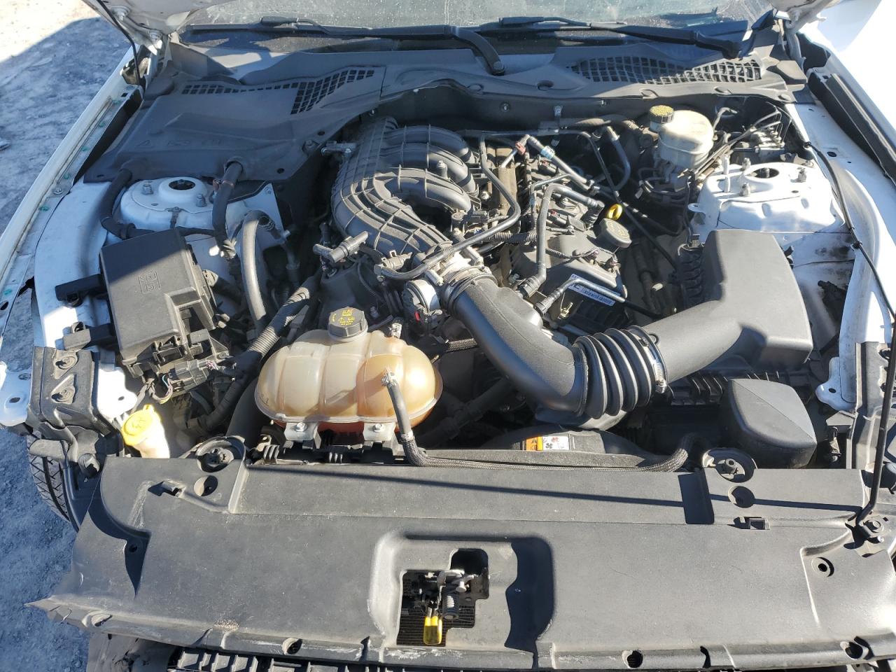 Ford Mustang Image 9