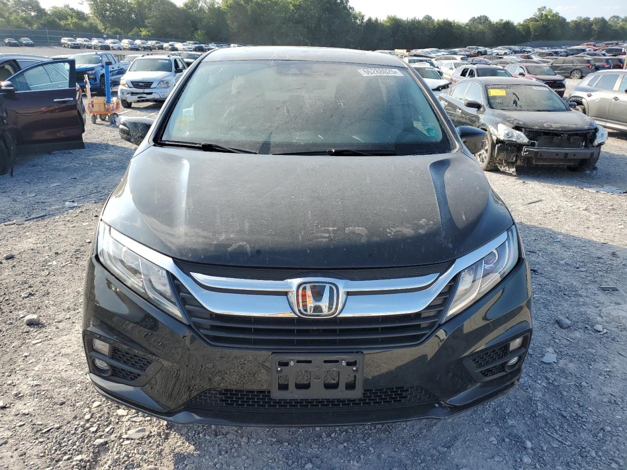 Honda Odyssey Exl Image 7