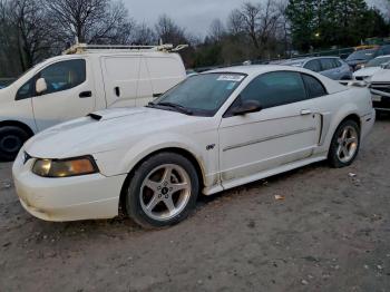  Salvage Ford Mustang