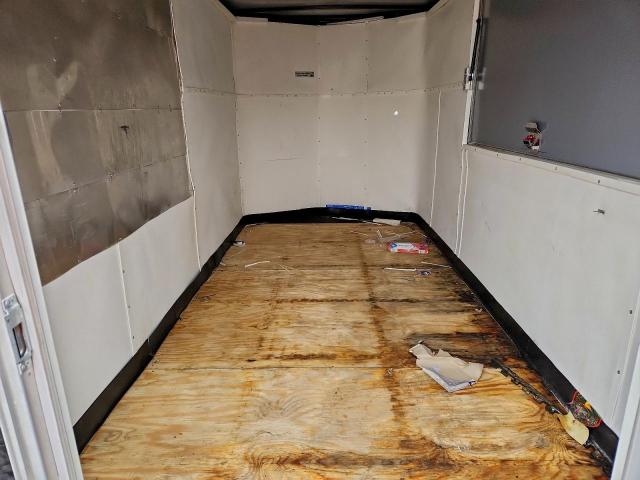 All World Other Image 2