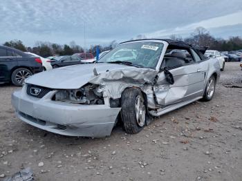  Salvage Ford Mustang