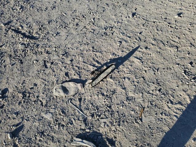 Ford Mustang Gt Image 13