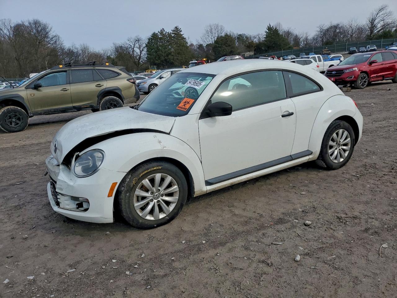 Volkswagen Beetle Image 1