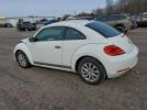 Volkswagen Beetle Image 8
