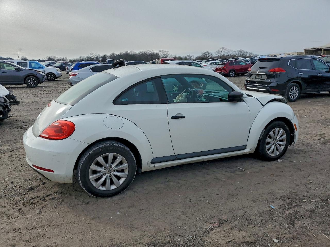 Volkswagen Beetle Image 10