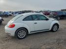 Volkswagen Beetle Image 10