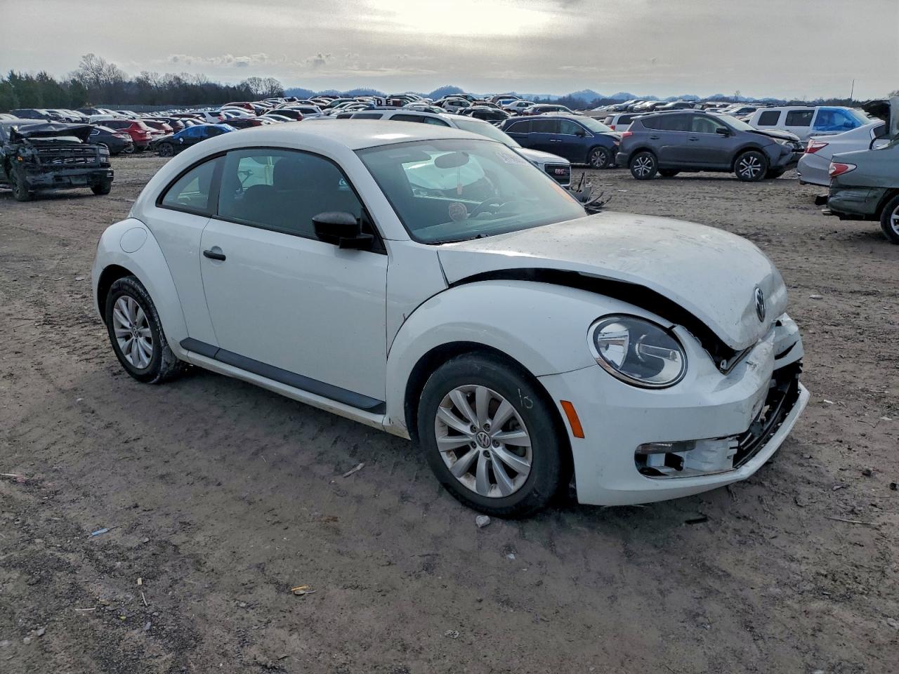 Volkswagen Beetle Image 4